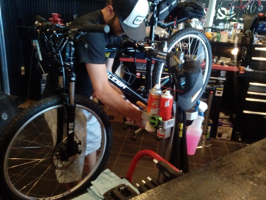 Echelon Bicycles & Taproom | restaurant | 138 West End Ave, Knoxville, TN 37934, USA | 8653921392 OR +1 865-392-1392