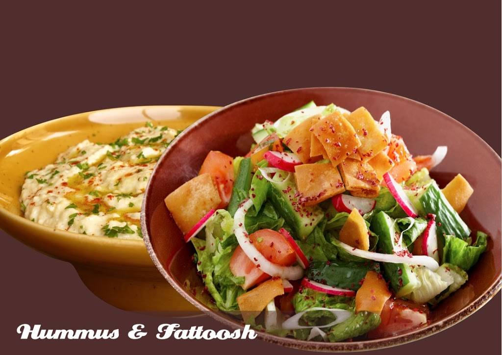 Rafics Falafel | restaurant | 6905 Schaefer Rd, Dearborn, MI 48126, USA | 3135515046 OR +1 313-551-5046