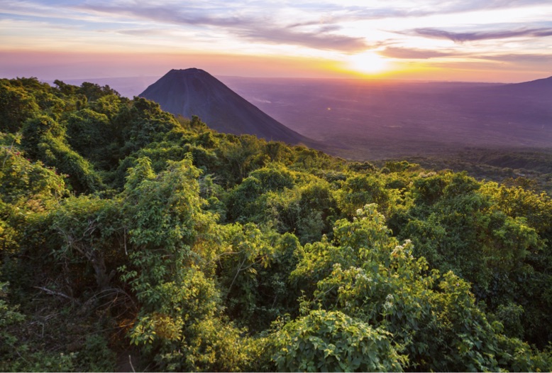 PUPUSA 503 Salvadoran Deli | restaurant | 850 Chancellor Park Dr C, Charlotte, NC 28213, USA | 9802070613 OR +1 980-207-0613