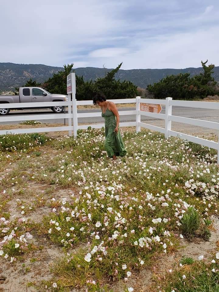 Common Grounds | restaurant | 58050 CA-371, Anza, CA 92539, USA | 9517440428 OR +1 951-744-0428