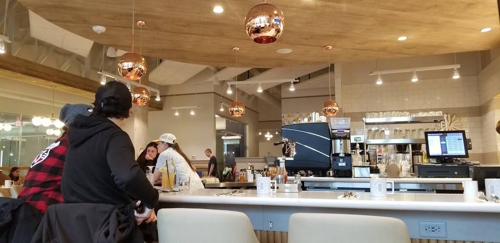 Benedicts | restaurant | 10 East Center St Skyway Level - 2nd Floor, Rochester, MN 55904, USA | 5073611208 OR +1 507-361-1208