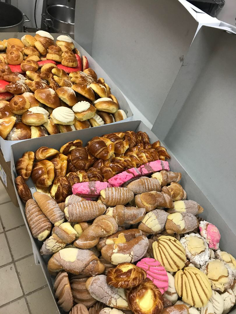 Panificadora Bakery | bakery | 2200 Harbor Blvd # E120, Costa Mesa, CA 92627, USA | 9496451042 OR +1 949-645-1042