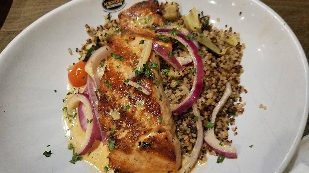 Acropolis Greek Taverna | restaurant | 14947 Bruce B Downs Blvd, Tampa, FL 33613, USA | 8139711787 OR +1 813-971-1787