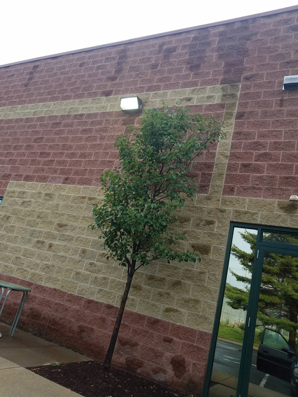 Subway | restaurant | 387 Medina Road Suite 100 Granger, Commons, Medina, OH 44256, USA | 3302393111 OR +1 330-239-3111