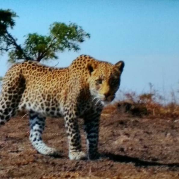 Eye Street Grill | restaurant | 1575 I St NW #1, Washington, DC 20005, USA | 2022897561 OR +1 202-289-7561