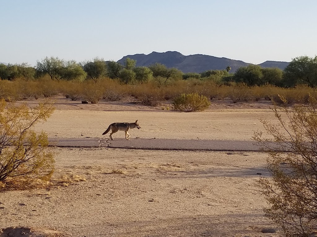 The 500 Golf Club at Adobe Dam Regional Park | restaurant | 4707 W Pinnacle Peak Rd, Glendale, AZ 85310, USA | 6234929500 OR +1 623-492-9500