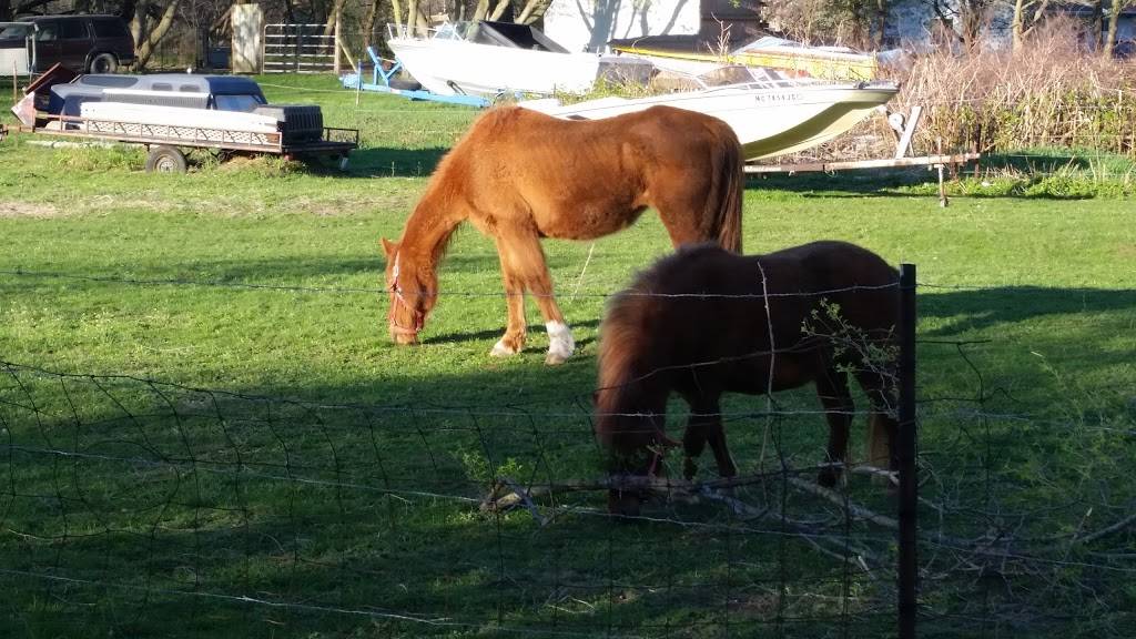 B-Line Bar & Grill | restaurant | 5960 Pinckney Rd, Howell, MI 48843, USA | 5175469122 OR +1 517-546-9122