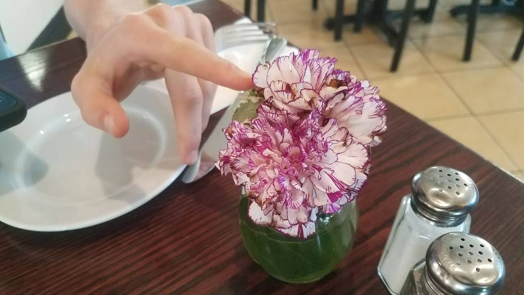 Paradise Pizza & Pasta | restaurant | 393 W Portal Ave, San Francisco, CA 94127, USA | 4157591155 OR +1 415-759-1155