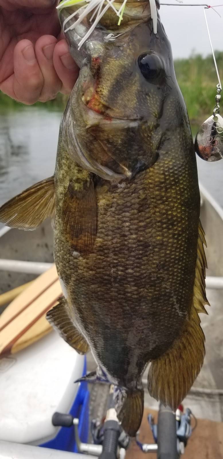 Culvers | restaurant | 2024 Elkhart Rd, Goshen, IN 46526, USA | 5746359966 OR +1 574-635-9966