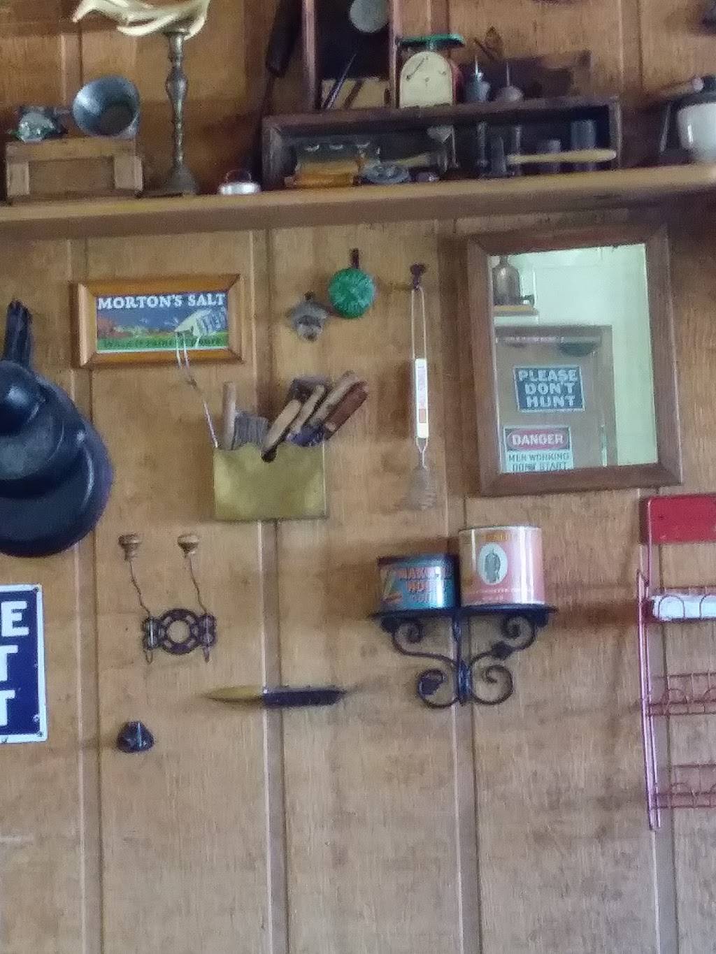 Big Chucks Pizza Plus | restaurant | 8987 Plum Orchard Rd, Munith, MI 49259, USA | 5175962822 OR +1 517-596-2822