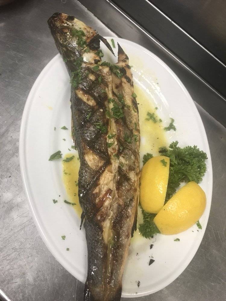 Galini Greek Restaurant | restaurant | 7491 N Federal Hwy suit 10, Boca Raton, FL 33487, USA | 5619312752 OR +1 561-931-2752