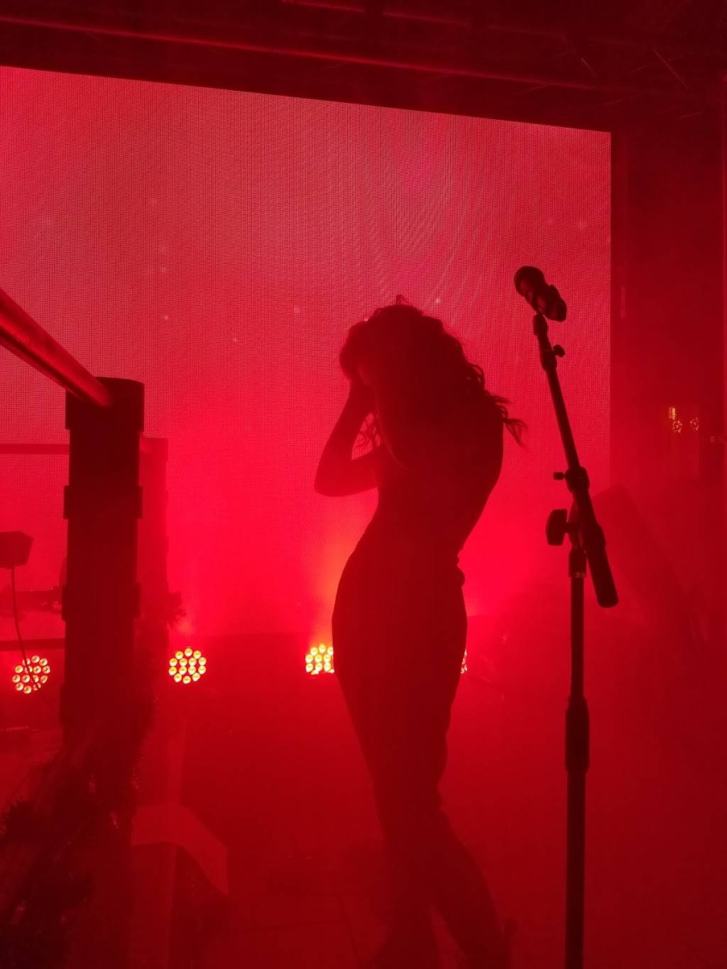 Krokodile | restaurant | 6004 W Belmont Ave, Chicago, IL 60634, USA | 7737777277 OR +1 773-777-7277