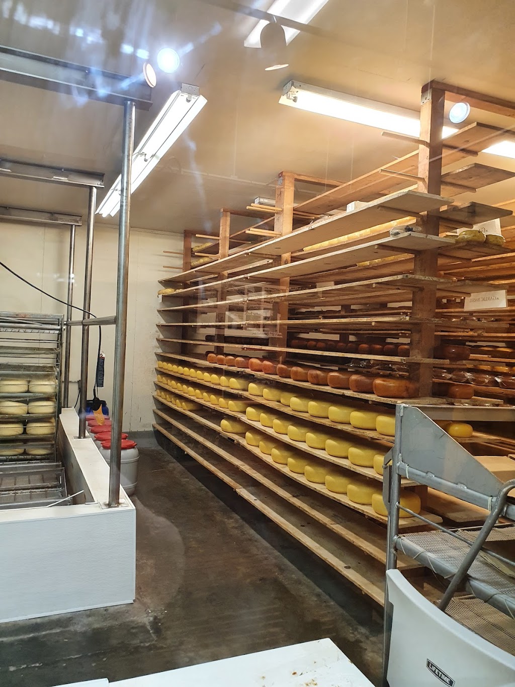 Oakdale Cheese & Specialties | bakery | 10040 CA-120, Oakdale, CA 95361, USA | 2098483139 OR +1 209-848-3139