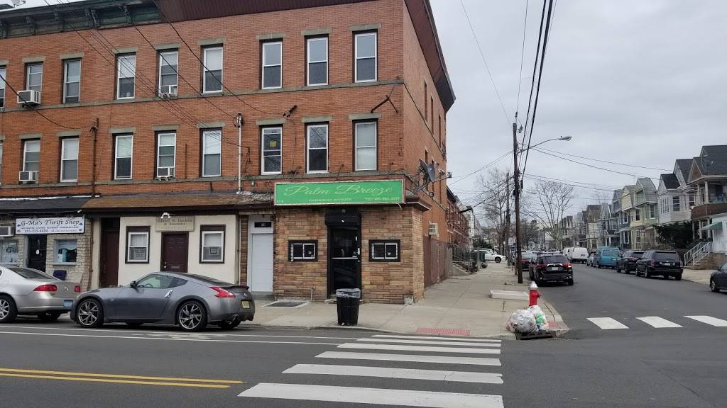 Palm Breeze Caribbean Kitchen | restaurant | 114 Mallory Ave, Jersey City, NJ 07304, USA | 2013603859 OR +1 201-360-3859