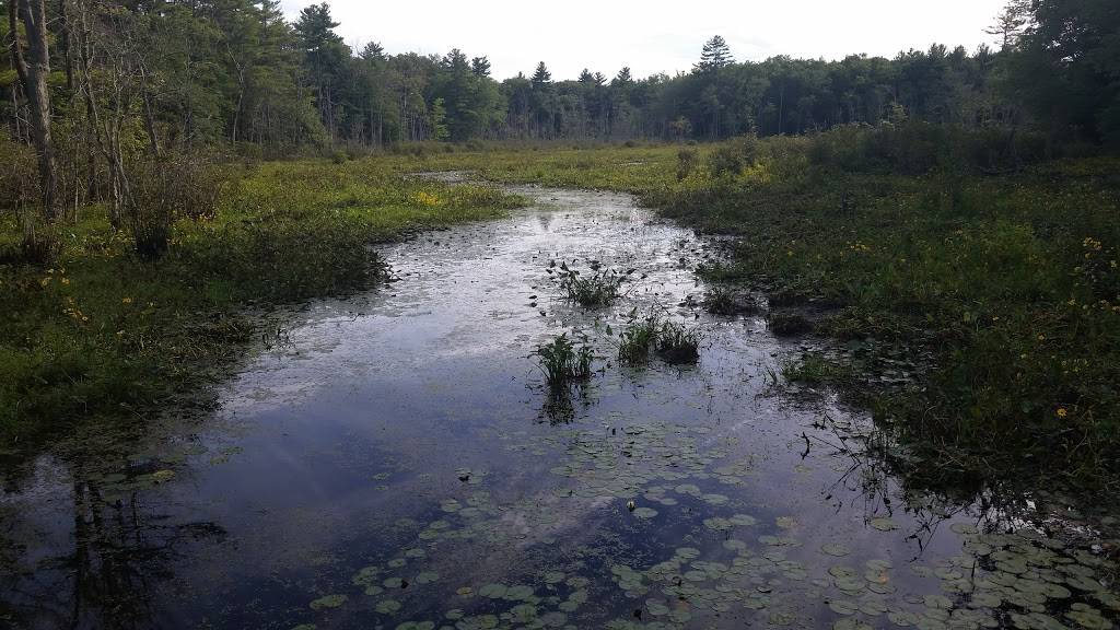 Starbucks | cafe | 68A Central St, Wellesley, MA 02482, USA | 7812375282 OR +1 781-237-5282