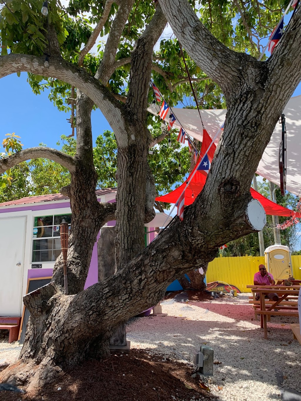 Windy City Tacos, Burgers, & More | restaurant | 15190 SW 177th Ave, Miami, FL 33187, USA | 9542976995 OR +1 954-297-6995