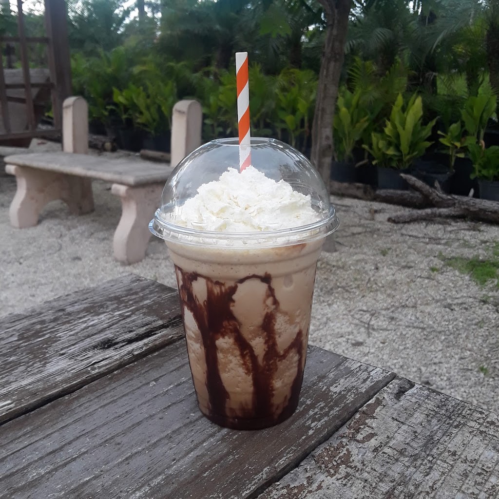 El Kiosco Food & More | restaurant | 15196 SW 184th St, Miami, FL 33187, USA | 7867921281 OR +1 786-792-1281