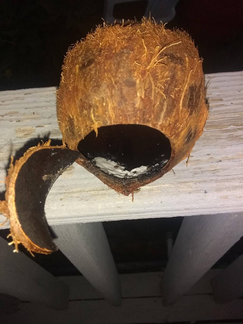 Tienda La Ilusion | restaurant | 945 N Central Ave, Batesville, AR 72501, USA | 8707932130 OR +1 870-793-2130