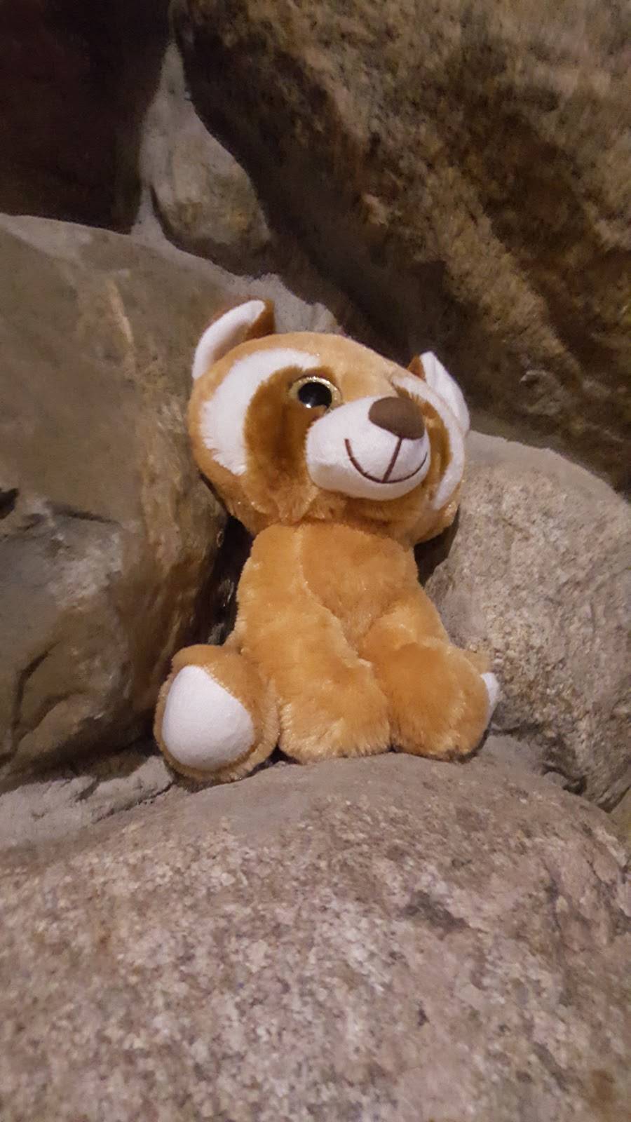 THE FOXES TRAILS | restaurant | 305 S Main St, Kokomo, IN 46901, USA | 7654507670 OR +1 765-450-7670