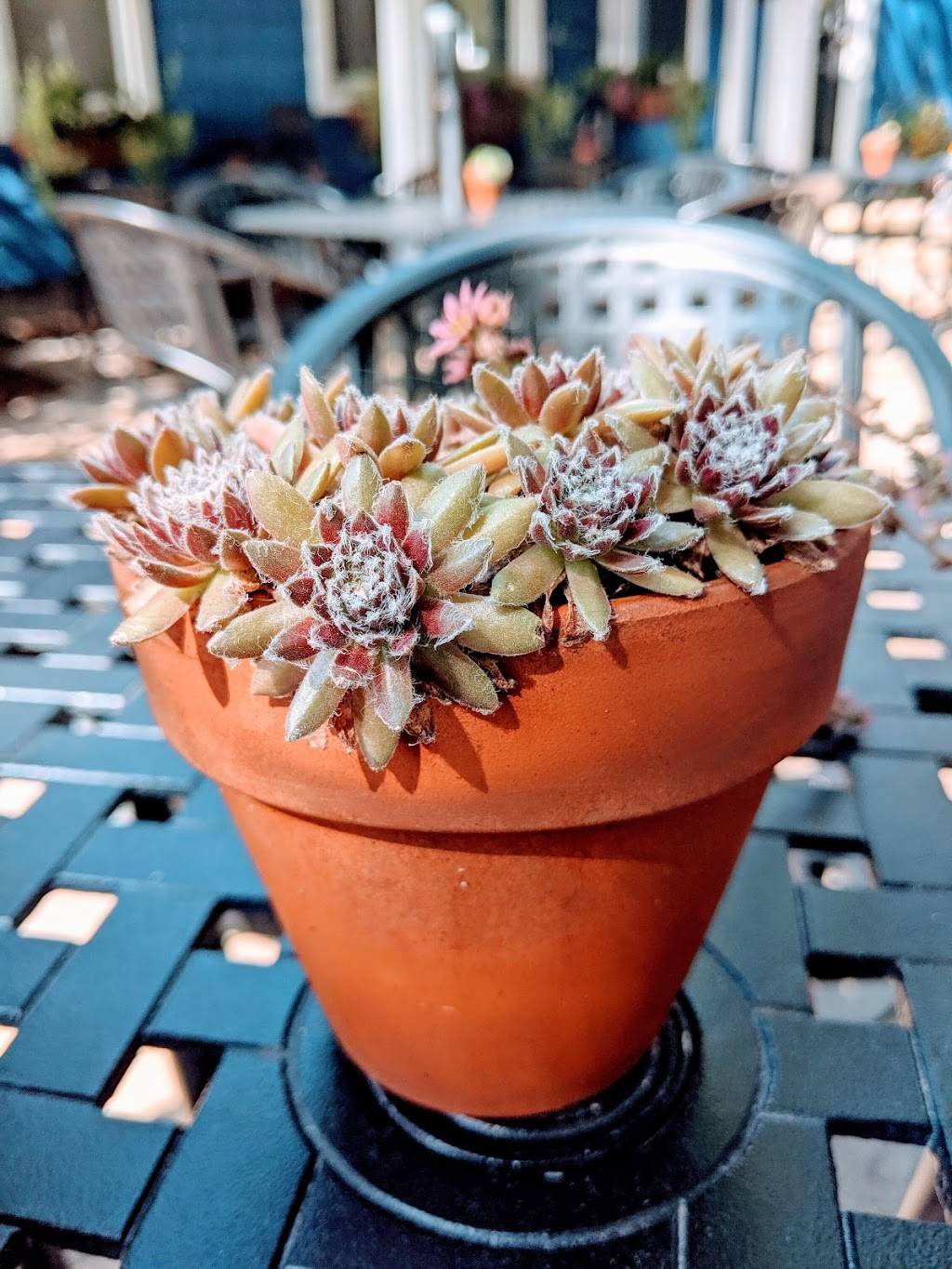 Garden Cafe | restaurant | 886 US-31, Kewadin, MI 49648, USA | 2315992824 OR +1 231-599-2824