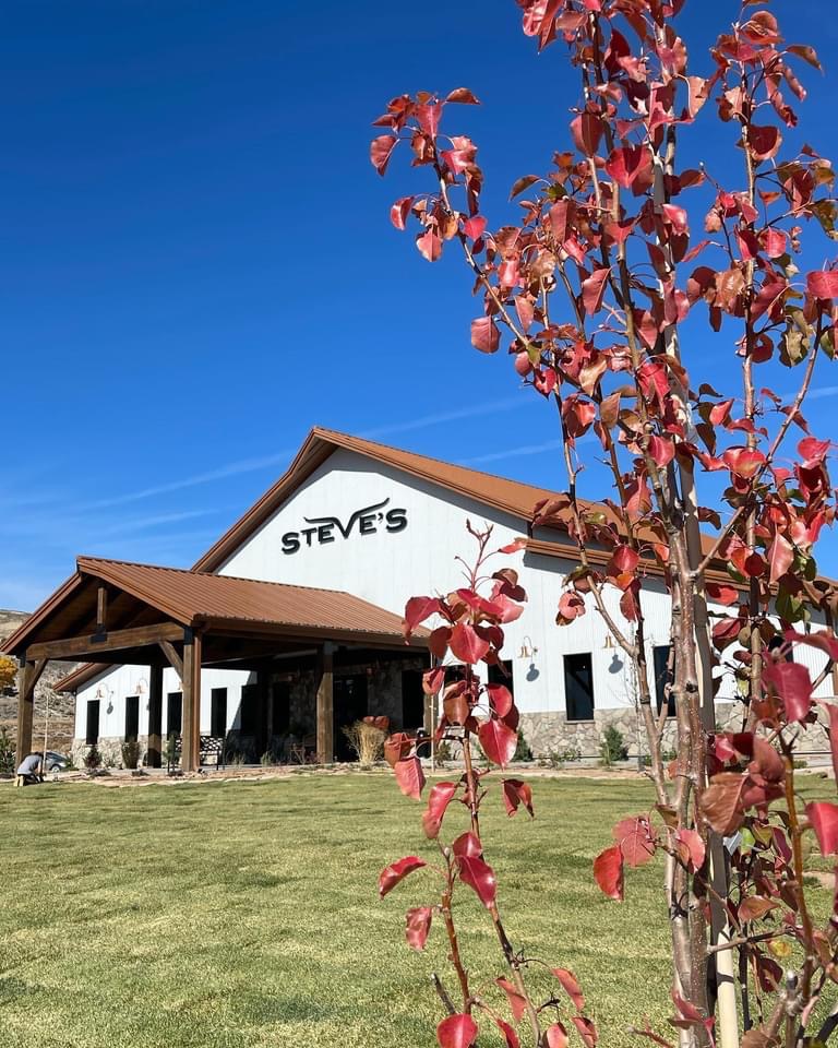 Steves Steakhouse | restaurant | 1170 S College Ave, Richfield, UT 84701, USA | 4358938880 OR +1 435-893-8880