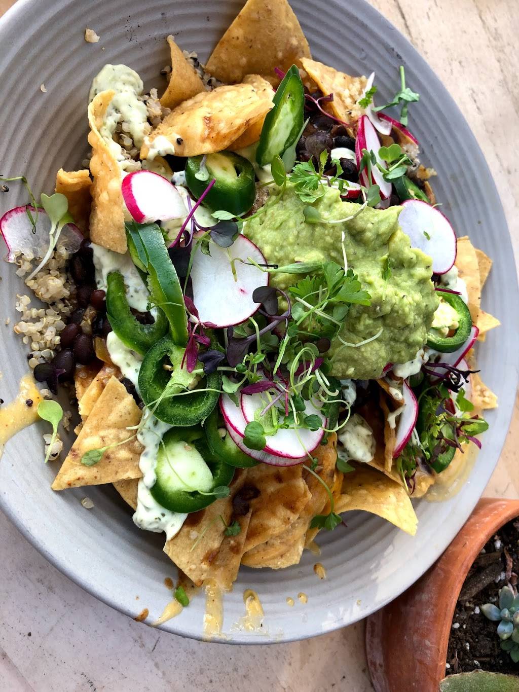 Second Nature | restaurant | 5026 Cass St, San Diego, CA 92109, USA | 8582475236 OR +1 858-247-5236