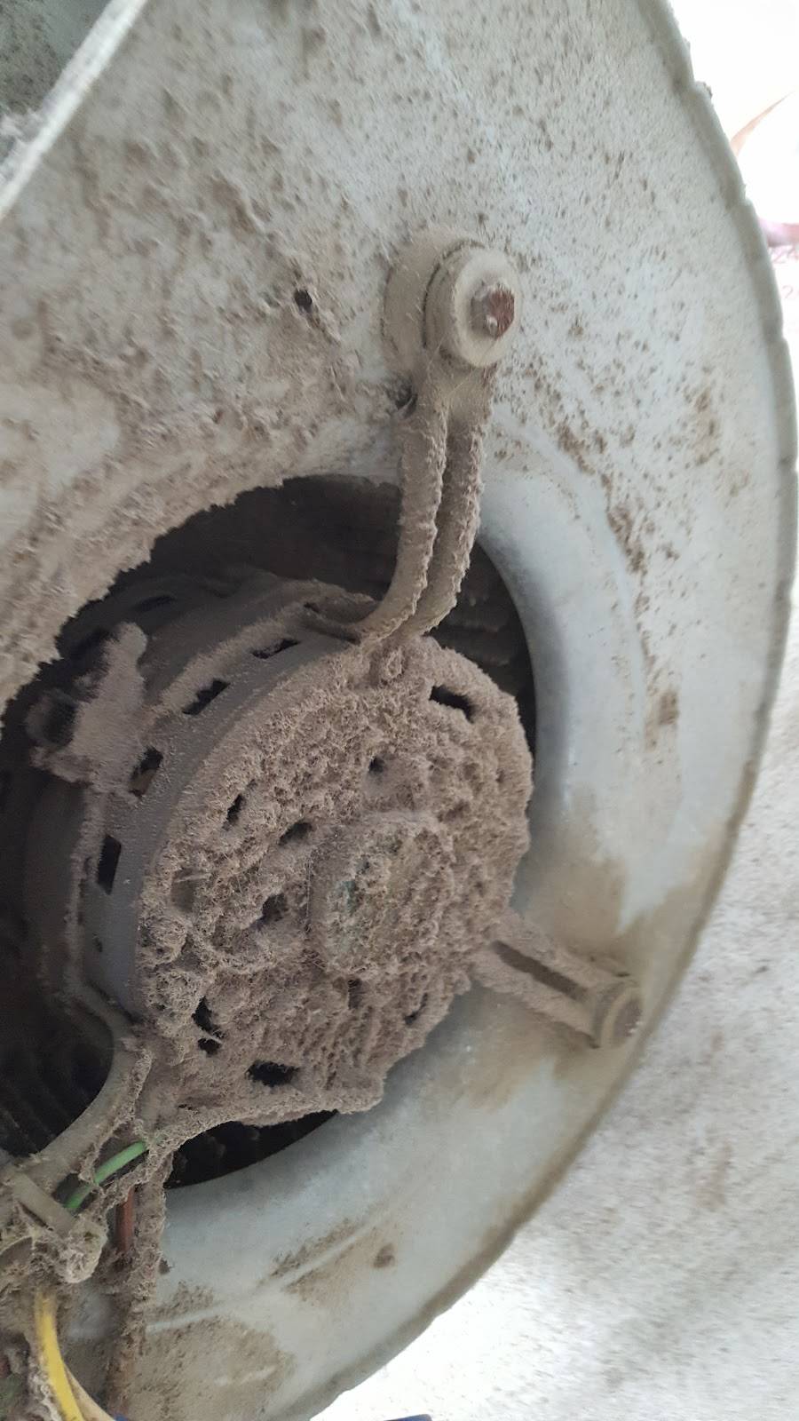 Subway Restaurants | restaurant | 1823 N Mays St, Round Rock, TX 78664, USA | 5122447827 OR +1 512-244-7827