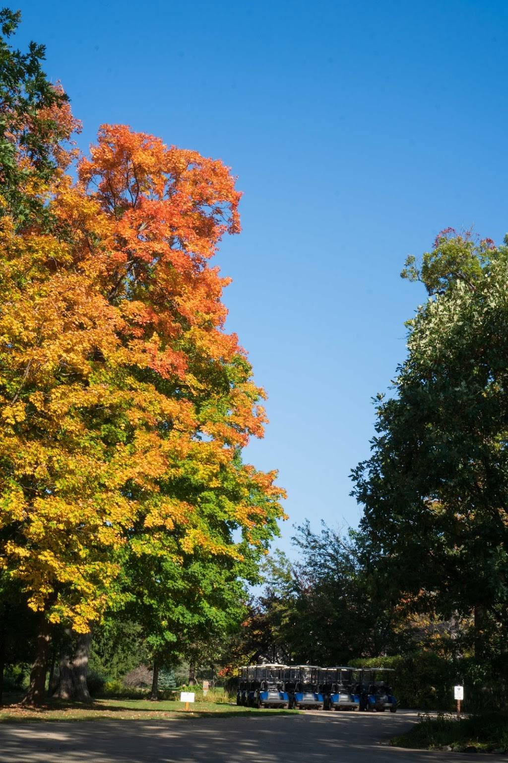 Glencoe Golf Club | restaurant | 621 Westley Rd, Glencoe, IL 60022, USA | 8478350250 OR +1 847-835-0250