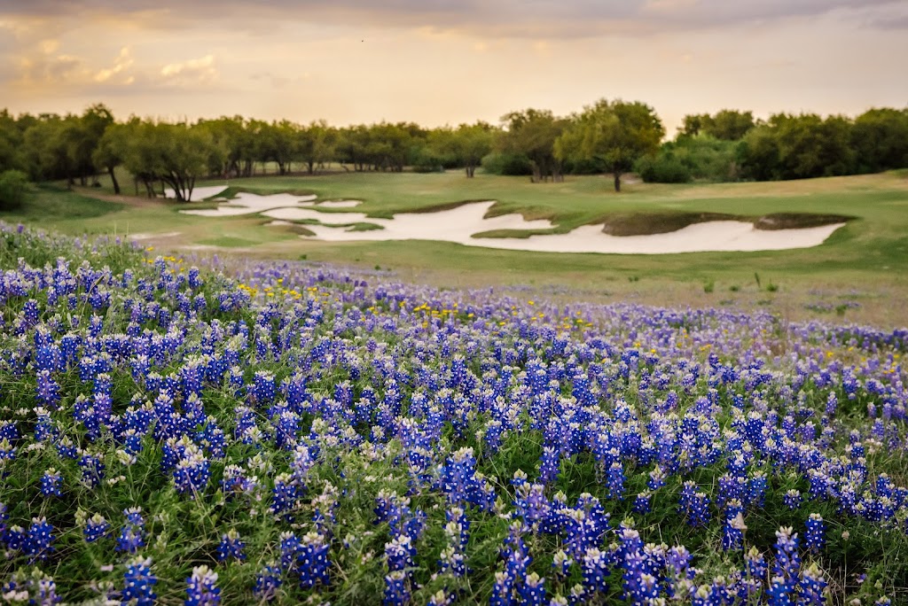 Dormie Network | restaurant | 4433 S 70th St Suite 105, Lincoln, NE 68516, USA | 4022435444 OR +1 402-243-5444