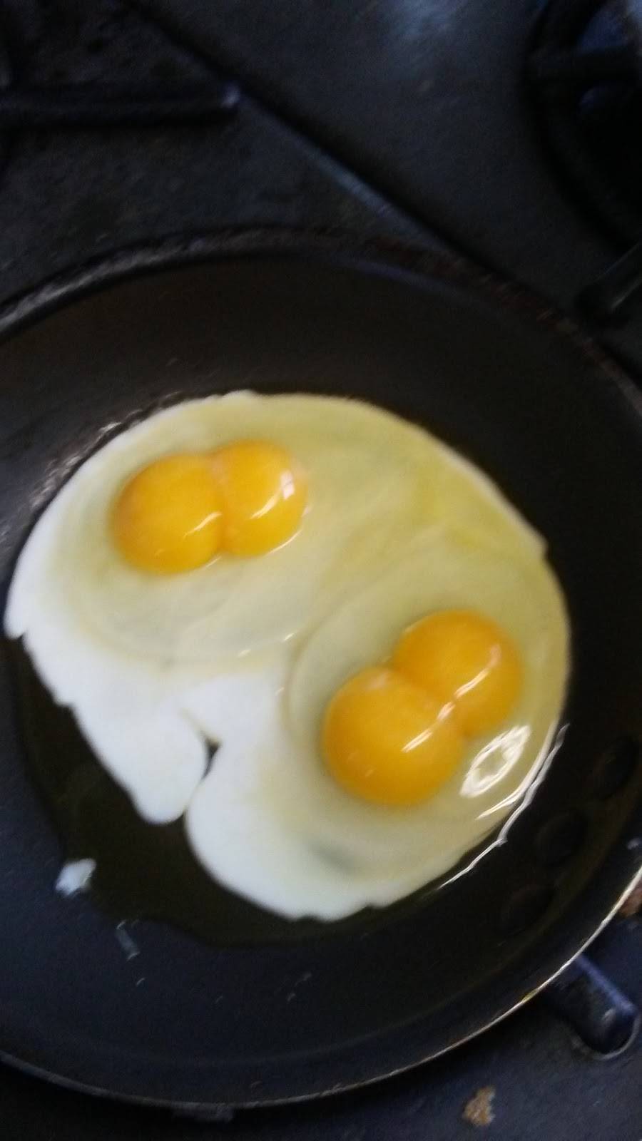 Beary Patch Restaurant | restaurant | W14716 US-2, Engadine, MI 49827, USA | 9064776214 OR +1 906-477-6214