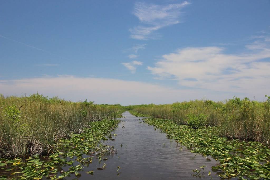 Gator Park | restaurant | 24050 SW 8th St, Miami, FL 33194, USA | 3055592255 OR +1 305-559-2255