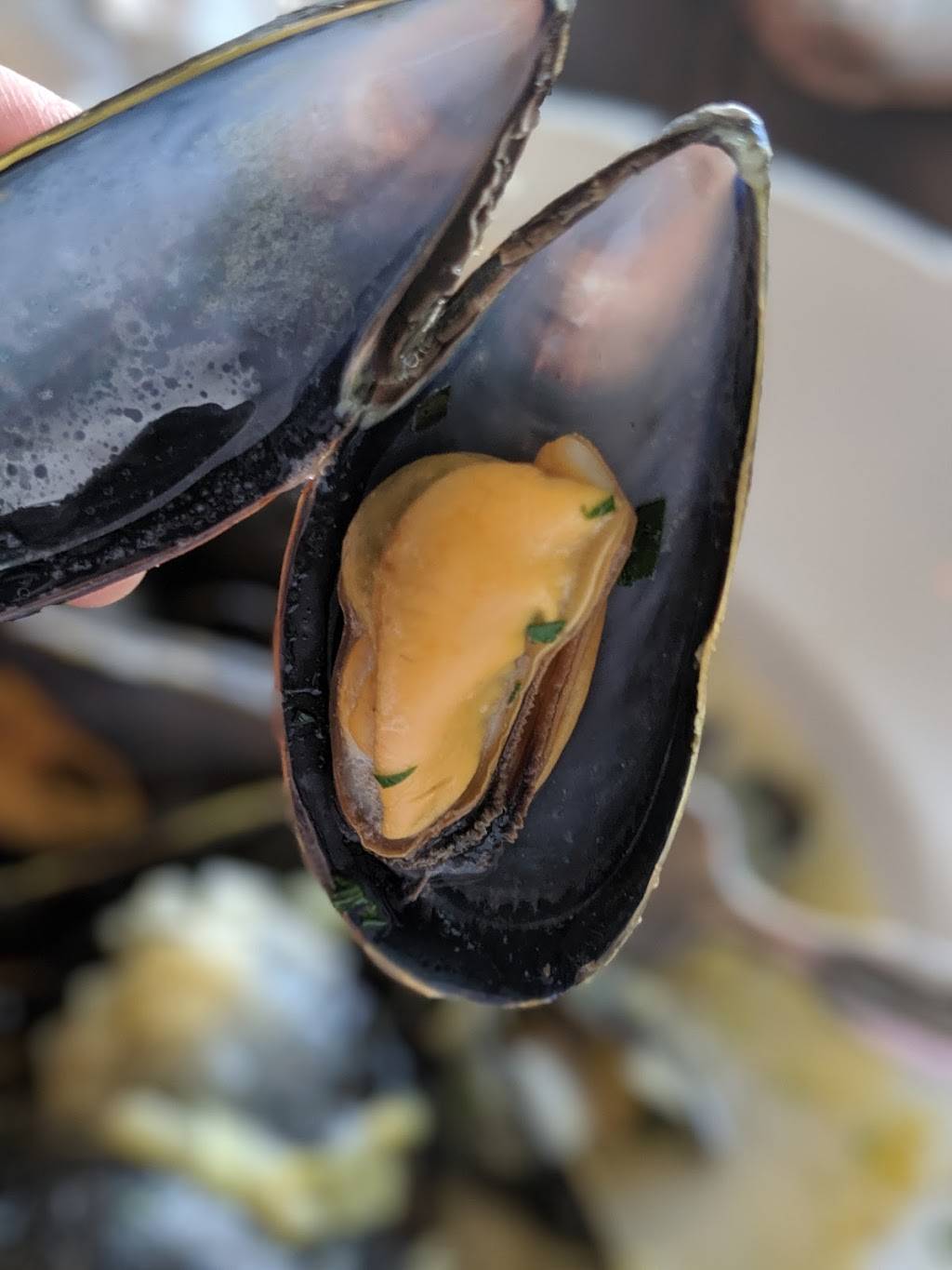 Five-O Shore Road | night club | 50 Shore Rd, Ogunquit, ME 03907, USA | 2076465001 OR +1 207-646-5001