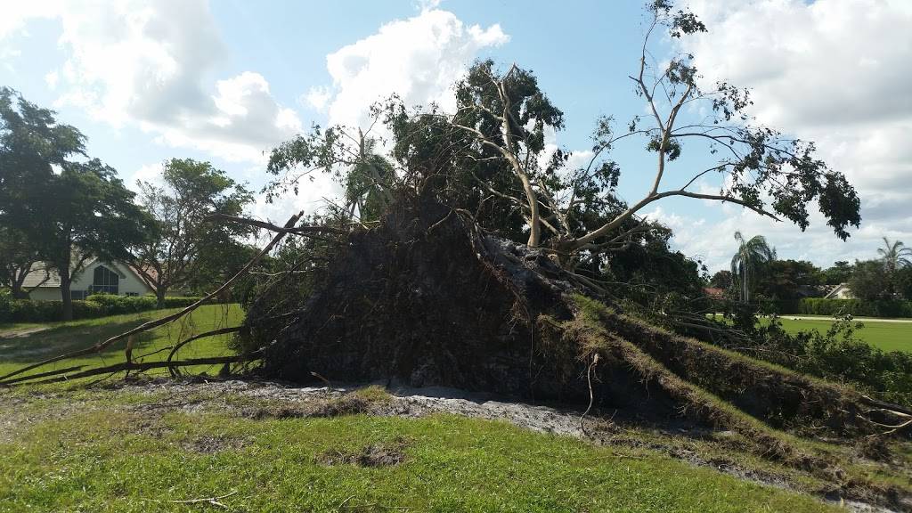 Westchester Country Club | restaurant | 12250 Westchester Club Dr, Boynton Beach, FL 33437, USA | 5617346300 OR +1 561-734-6300