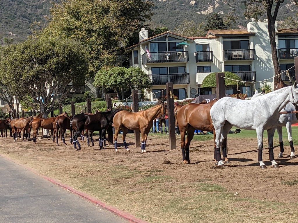 Santa Barbara Polo & Racquet Club | restaurant | 3300 Via Real, Carpinteria, CA 93013, USA | 8056846683 OR +1 805-684-6683