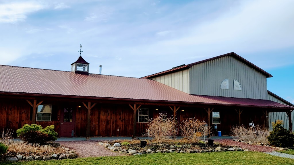 Deer Run Winery | cafe | 3772 W Lake Rd, Geneseo, NY 14454, USA | 5853460850 OR +1 585-346-0850