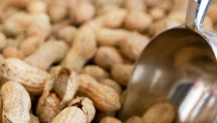 Five Guys | restaurant | Hammock Landing Town Center, Melbourne, FL 32904, USA | 3214099940 OR +1 321-409-9940