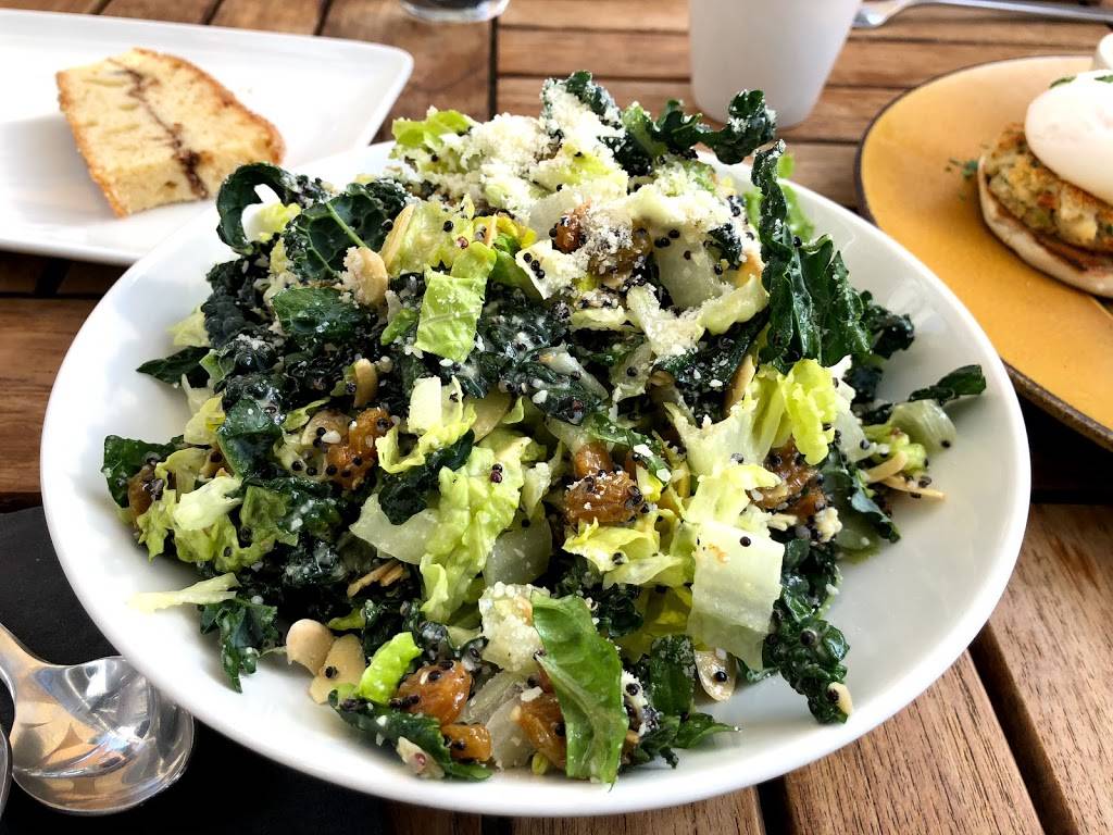 Napa Valley Grille | restaurant | 1100 Glendon Ave Ste 100, Los Angeles, CA 90024, USA | 3108243322 OR +1 310-824-3322