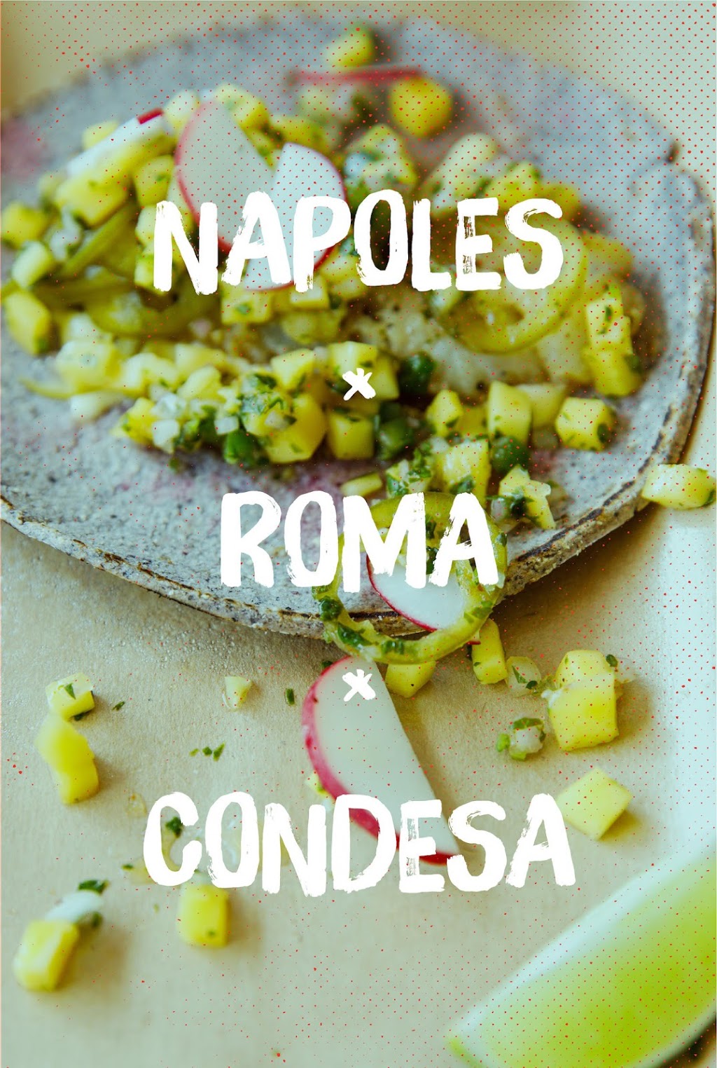 La Vecina Taqueria | restaurant | 24 Washington Square, Newport, RI 02840, USA | 4013245160 OR +1 401-324-5160