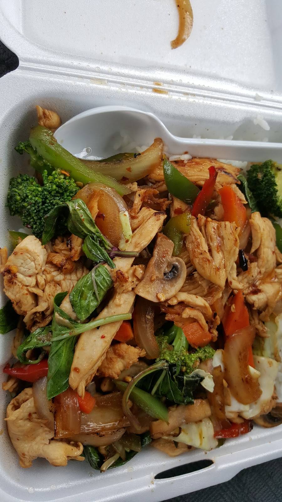 Jasmine Thai Cuisine | restaurant | 1800 Redmond Cir, Rome, GA 30165, USA | 7066222090 OR +1 706-622-2090