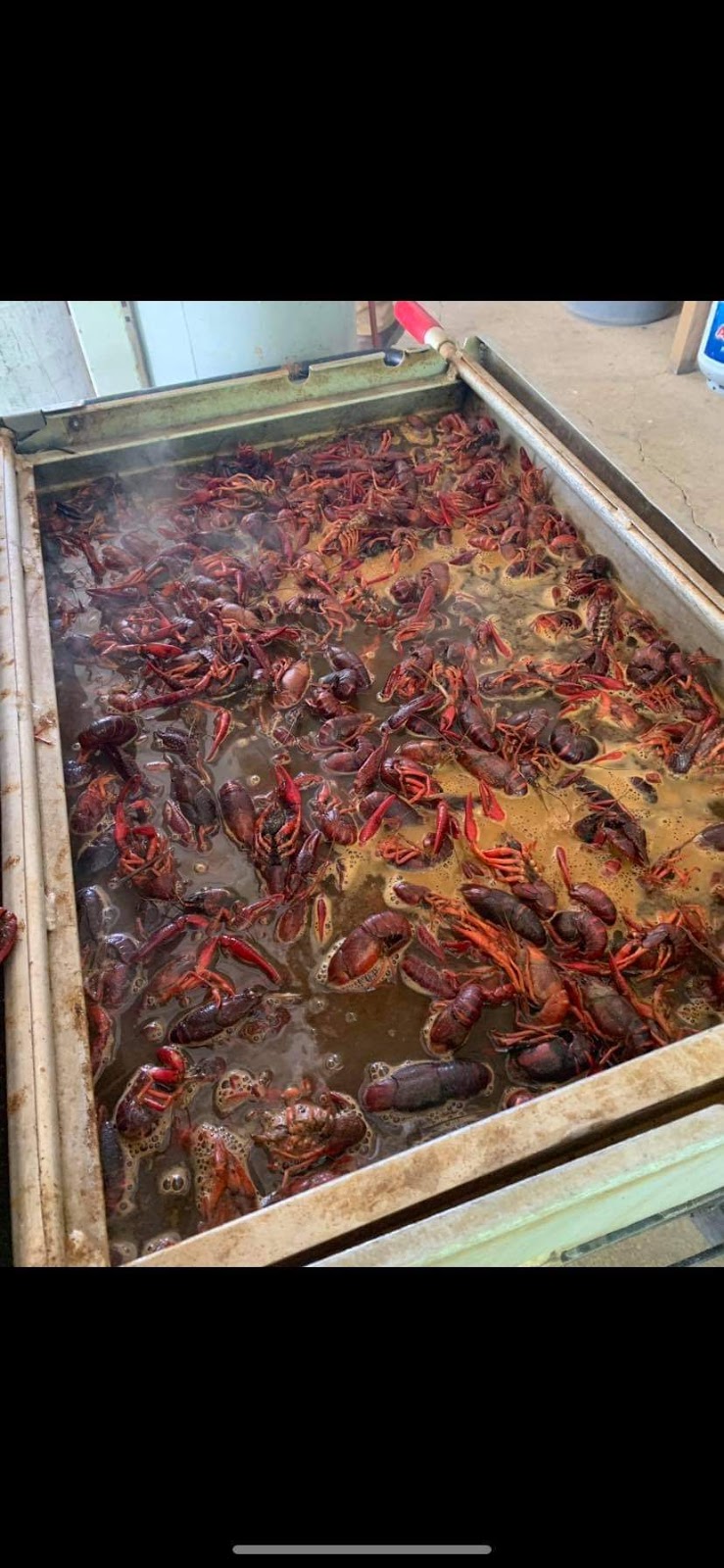 T.j.s Crawfish Shack | restaurant | 515 E Grand Ave, Rainbow City, AL 35906, USA | 8646126887 OR +1 864-612-6887