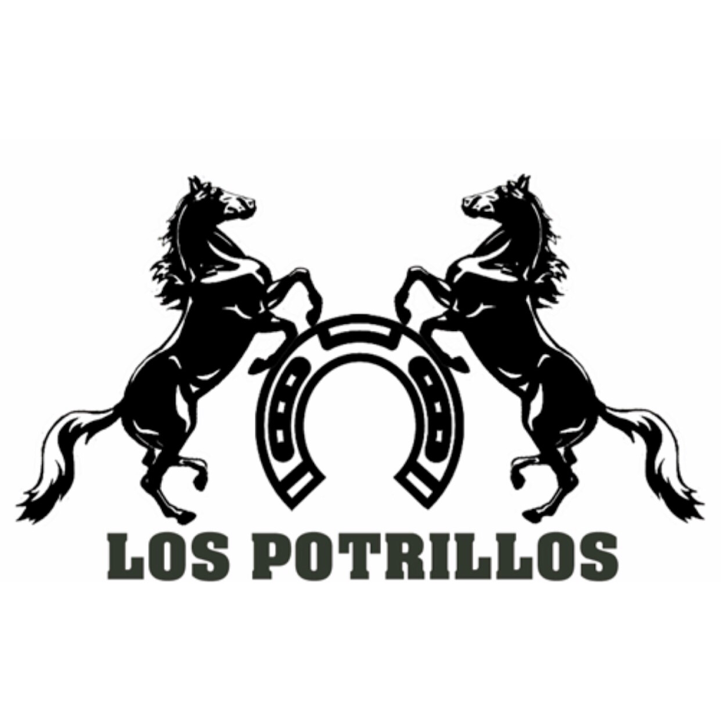Los potrillos bar & mexicano food | restaurant | 670 E Jackson St, Joliet, IL 60432, USA | 8153423941 OR +1 815-342-3941