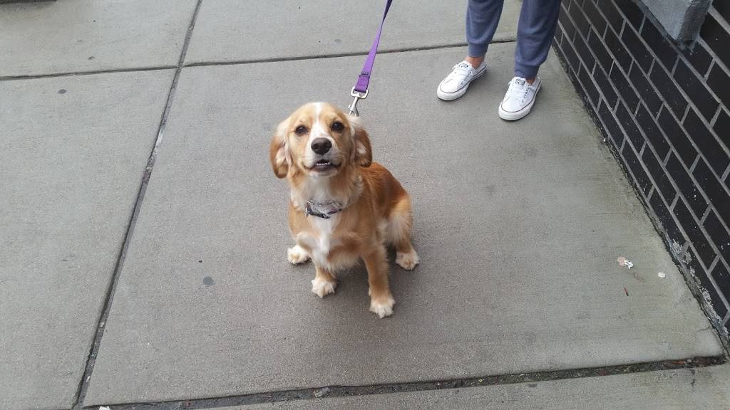 South Ocean | restaurant | 710 E Broadway, South Boston, MA 02127, USA | 6172682998 OR +1 617-268-2998