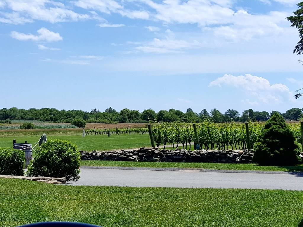 Newport Vineyards | cafe | 909 E Main Rd, Middletown, RI 02842, USA | 4018485161 OR +1 401-848-5161
