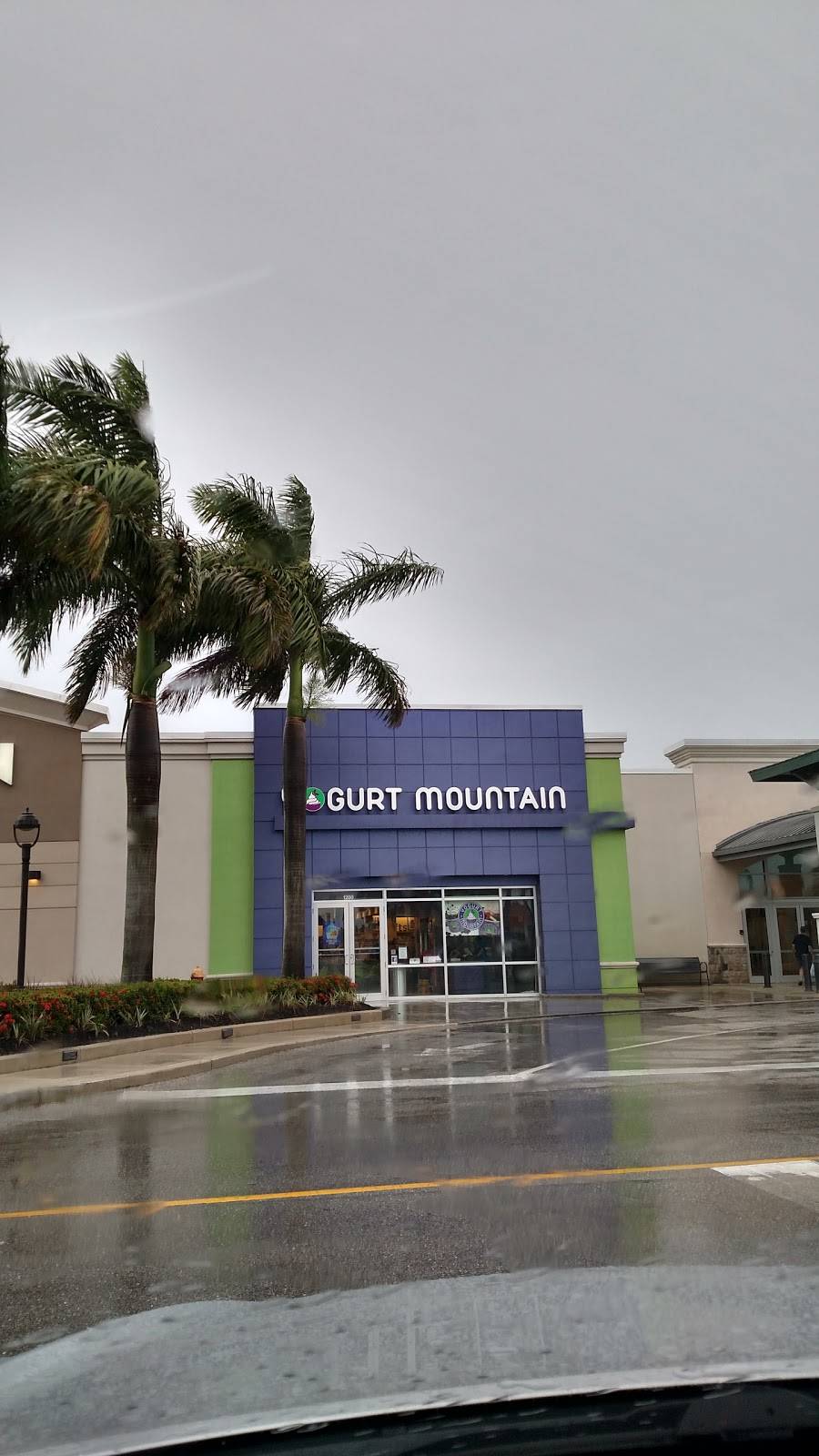 Yogurt Mountain | restaurant | 4125 Cleveland Ave, Fort Myers, FL 33901, USA | 2399311012 OR +1 239-931-1012