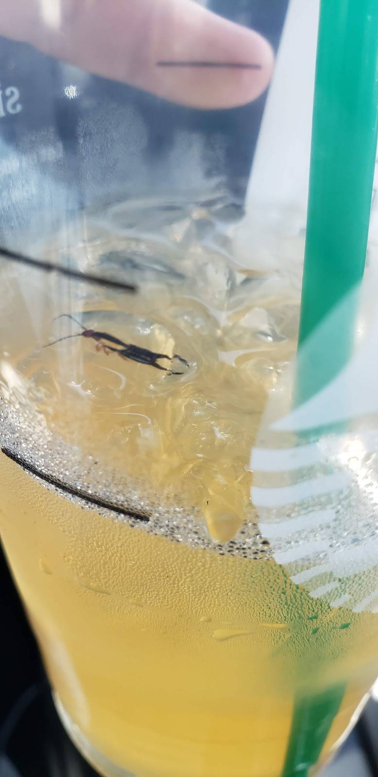 Starbucks | cafe | 7910 Winter Garden Vineland Rd Suite 100, Windermere, FL 34786, USA | 4075542518 OR +1 407-554-2518