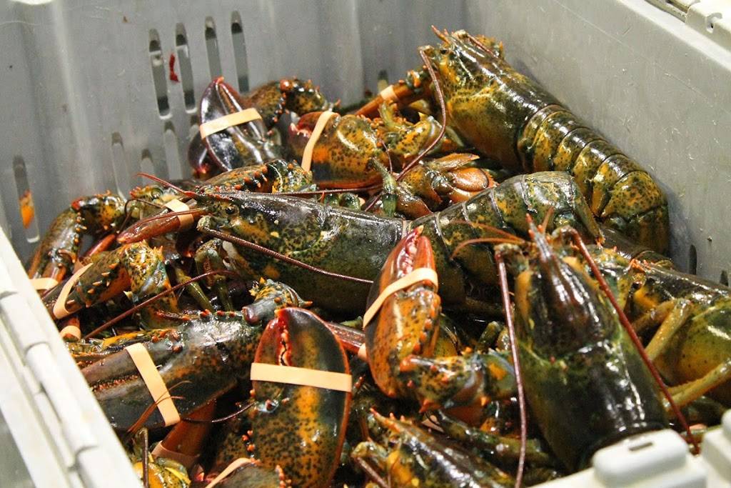 Oceans Fleet Fisheries, Inc. | restaurant | 20 Blackmer St, New Bedford, MA 02744, USA | 5089963742 OR +1 508-996-3742