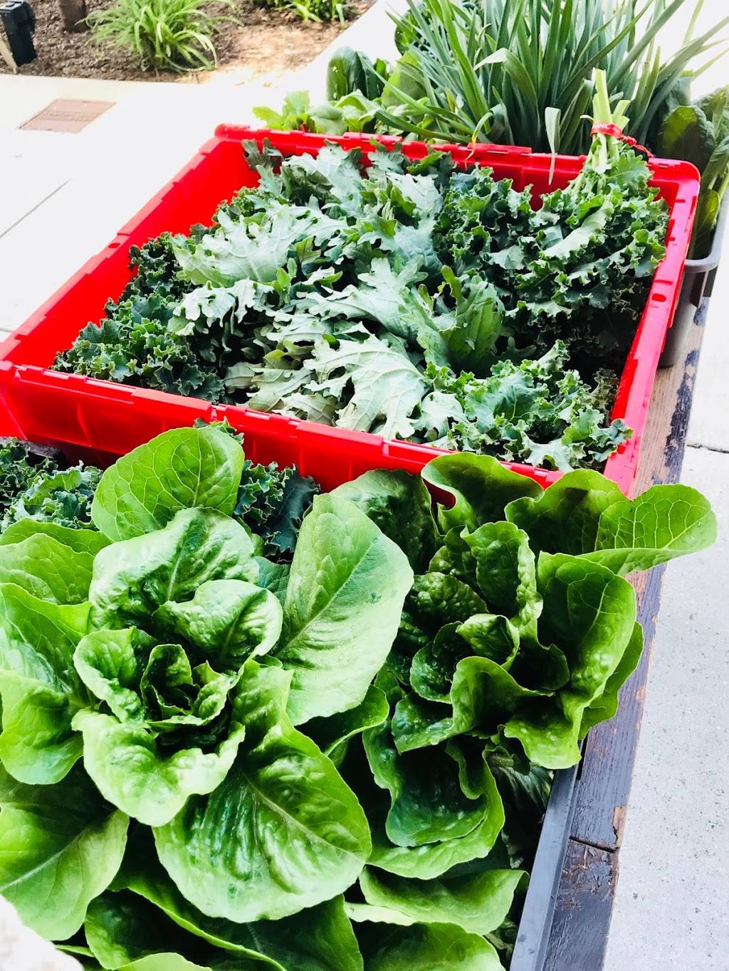 Brooklyns Best | restaurant | 48 North St, Pittsfield, MA 01201, USA | 4132429050 OR +1 413-242-9050