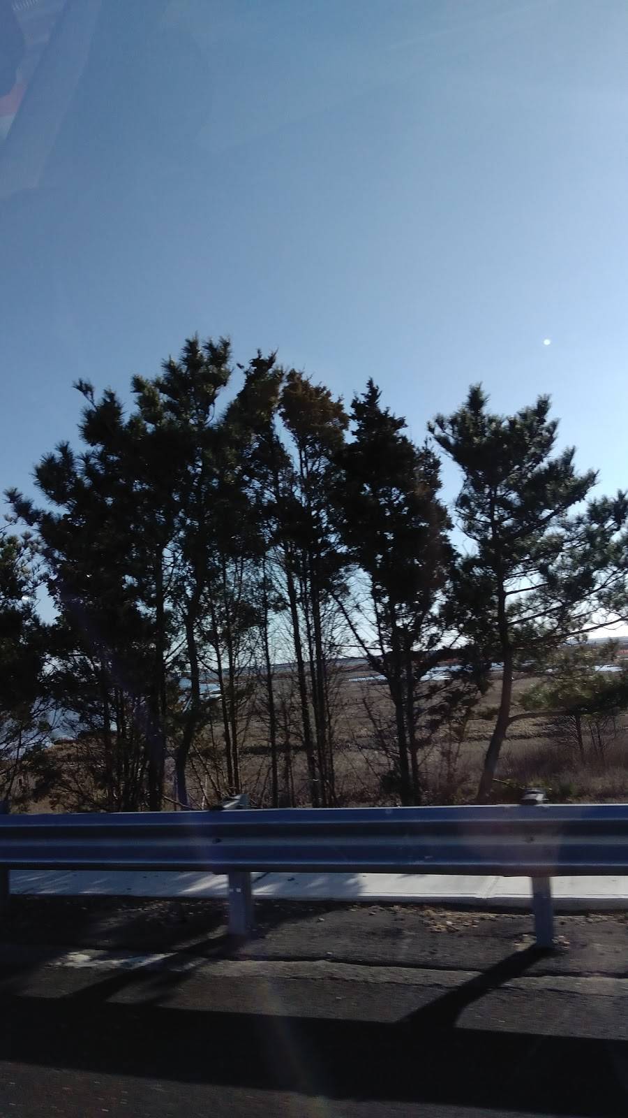 Causeway Marina | restaurant | 2200 E Bay Ave, Manahawkin, NJ 08050, USA | 6094941371 OR +1 609-494-1371