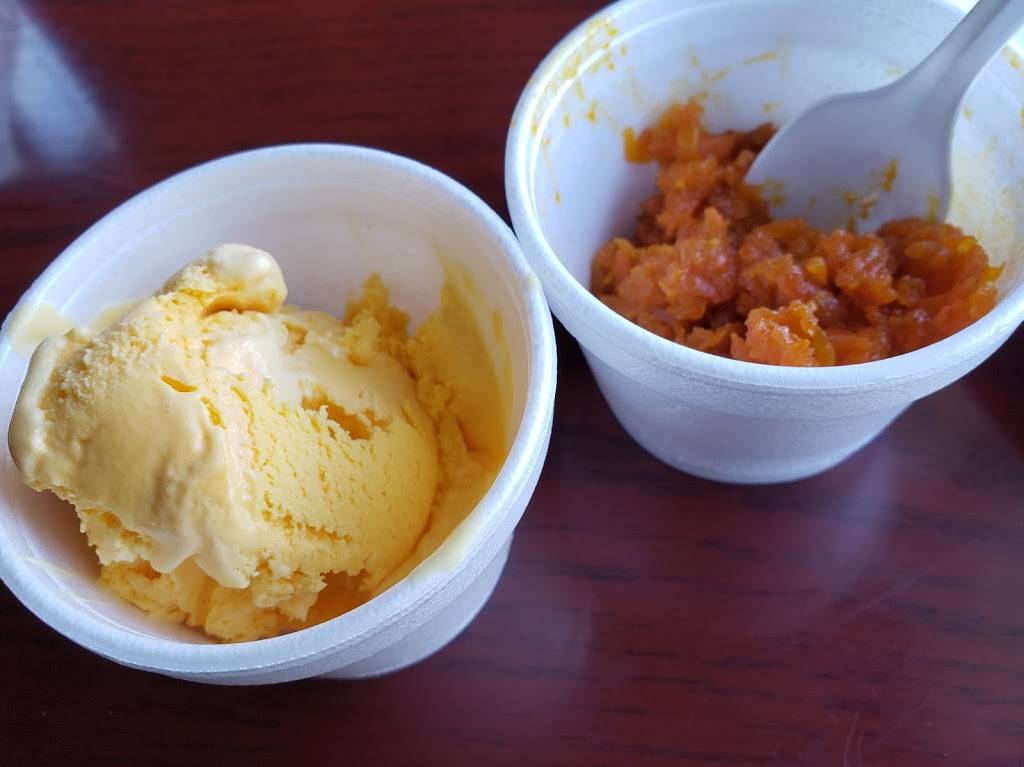 Chennai Dosas | restaurant | 128 S Broadway, Hicksville, NY 11801, USA | 5166815151 OR +1 516-681-5151