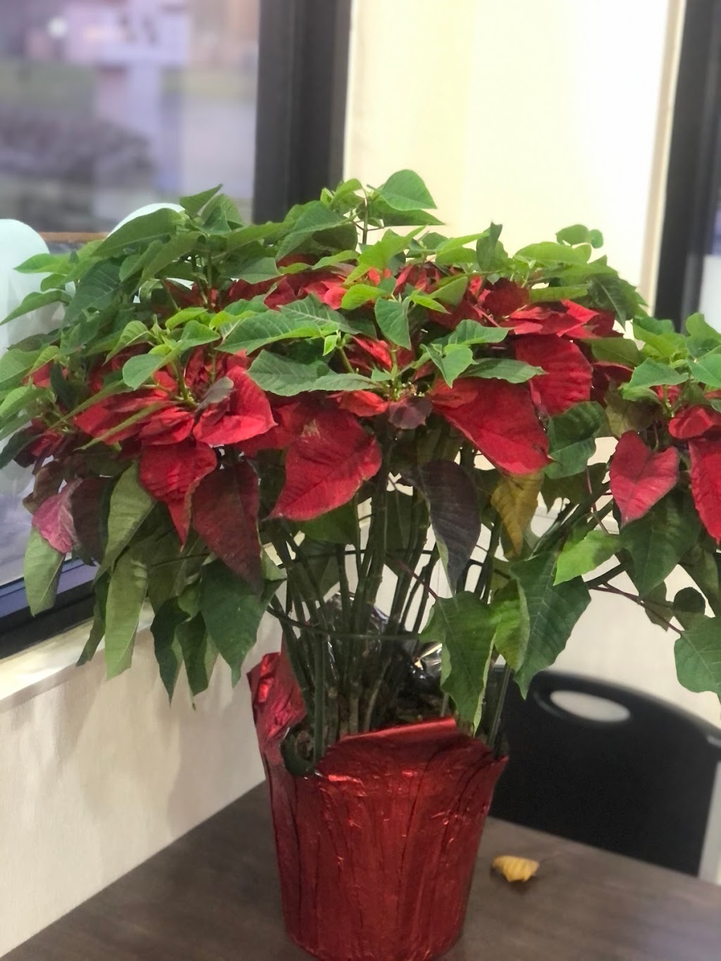 Shipley Do-Nuts | meal takeaway | 7220 Antoine Dr, Houston, TX 77088, USA | 2814456437 OR +1 281-445-6437